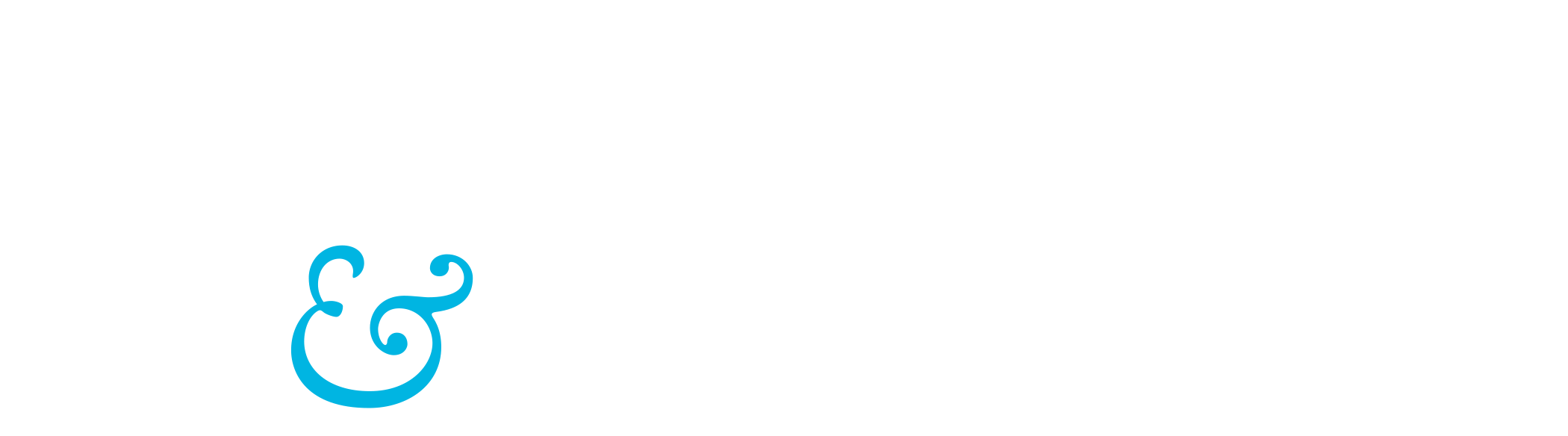 Democracy & Society Journal